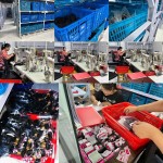 Meches Humain Manufacturer - Brazilian Human Hair Wholesale