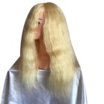 Training Head Factory - Professional Practice Head