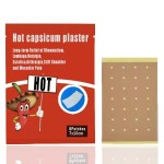 Capsicum Pain Relief Plaster Factory - OEM Traditional Chinese Formula