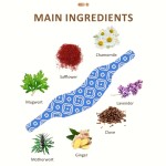 Self Heat Patch Factory - Herbal Steam Winter Use