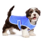 Adjustable Dog Jacket Factory - Cotton Breathable Mesh