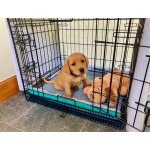 Massage Cushion Manufacturer - Office Chair Support