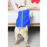 Breathable Ice Vest Manufacturer - Small Medium Large Dogs