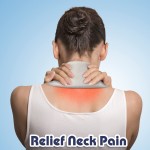 Pet Anxiety Toy Manufacturer - Heartbeat Training Toy