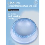 Blue Dog Pool Manufacturer - Foldable Hard Plastic