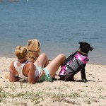 Inflatable Surfboard Factory - Paddle Board Water Play