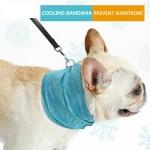 Interactive Toy Manufacturer - Summer Eco-Friendly TPR