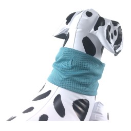 TPR Dog Toy Factory - Interactive Frozen Chew Toy