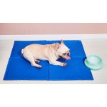 Dog Life Jacket Supplier - Wings Design Flotation Preserver