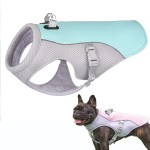 Cooling Harness Manufacturer - Safety Reflective Vest