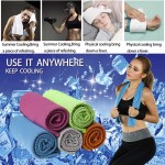 Cat Tree Tower Factory - Luxury Three-tier Condo