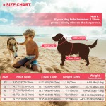 Puppy Teething Factory - Freeze Food Grade Rubber