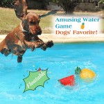 Pet Car Mat Factory - Waterproof Non-Slip Easy Clean