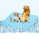 Pet Ice Pad Factory - Blue Ocean Design Cooler