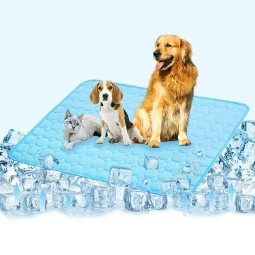 Pet Ice Pad Factory - Blue Ocean Design Cooler