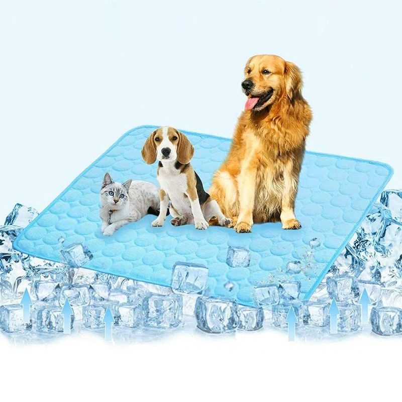 Pet Ice Pad Factory - Blue Ocean Design Cooler