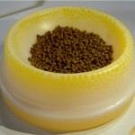 Dog Bath Pool Factory - Medium Portable Tub