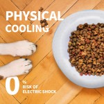 Summer Pet Collar Supplier - Hot Sale Ice Cool