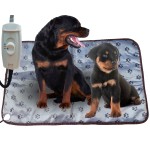 Pet Separation Toy Manufacturer - Behavioral Aid Plush