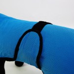 UV Protection Vest Factory - Outdoor Walking Cooler Coat