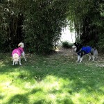 UV Protection Vest Factory - Outdoor Walking Cooler Coat