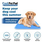 Dog Cooling Mat Manufacturer - Teddy Mattress Cushion