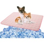 Pet Ice Pad Factory - Blue Ocean Design Cooler