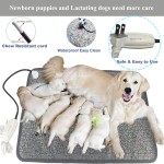 Hot Cold Therapy Supplier - Reusable Muscle Recovery