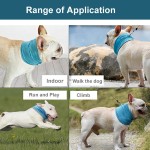 Summer Cooler Toy Manufacturer - Pet Ice Frozen Teething