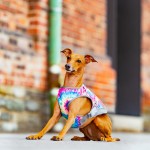 USB Cooling Vest Factory - Sun-Safe Sport Outdoor