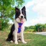 Rechargeable Scarf Manufacturer - Soft Winter Neck Warm