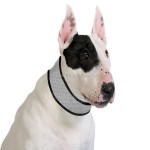 Dog Chew Toy Supplier - Food Grade Bite Resistant