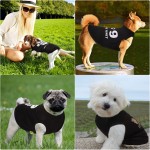 Summer Dog Shirt Factory - Cool Evaporative Pet Coat