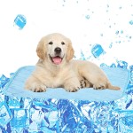Pet Cool Mat Factory - Non Toxic Pressure Activated