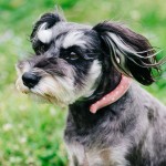 Neck Cold Ring Supplier - Instant Cooler Tube Custom