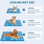 Lick Mat Supplier - Silicone Extra Large Pet
