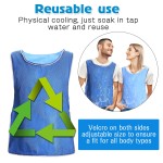 Cooling Safety Vest Supplier - High Visibility Security