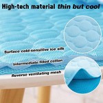 Pet Ice Pad Factory - Blue Ocean Design Cooler