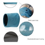 Summer Cooler Toy Manufacturer - Pet Ice Frozen Teething