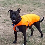 Mesh Cooling Vest Factory - Fishing Cycling Hiking