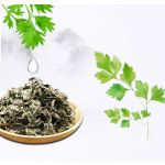 Bamboo Charcoal Patch Factory - Natural Herbal Deep Sleep