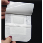 Detox Foot Pads Supplier - Bamboo Vinegar Ginger Patch