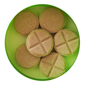 Anti-Parasitic Tablet Supplier - Cats Dewormer