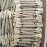Matatabi Silvervine Sticks Manufacturer - Raffia Gall Fruit