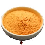 Goji Juice Powder Factory - Instant Goji Berry Powder
