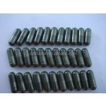 Spirulina Capsule Manufacturer - 500mg Standardized