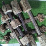 Matatabi Kebab Factory - Silvervine Skewer