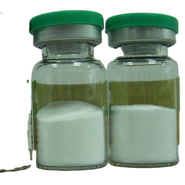 Food Grade Hyaluronic Acid Manufacturer - HA Supplement