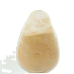 Ginseng Extract Manufacturer - 4%-80% Ginsenosides