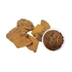 Chaga Mushroom Extract Factory - Inonotus Obliquus